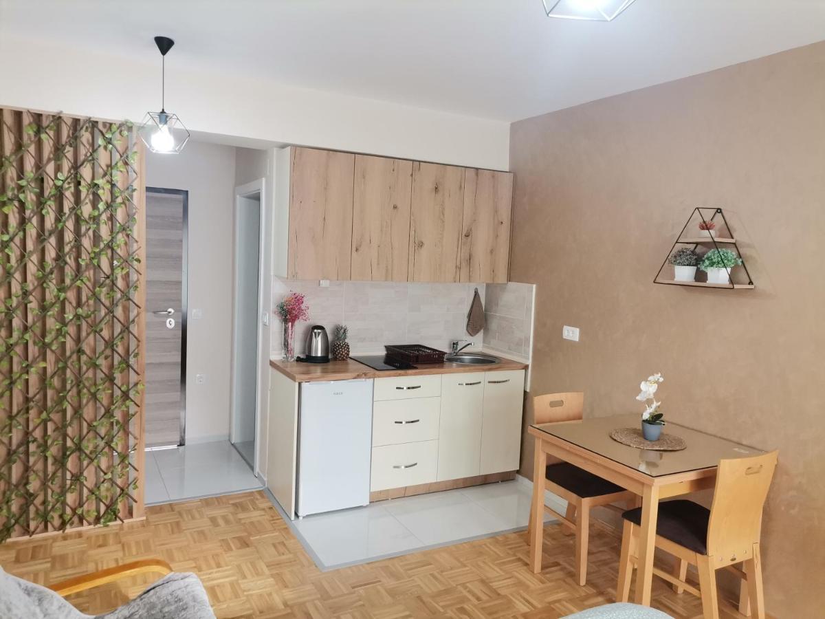 Jana Apartment Ohrid Extérieur photo