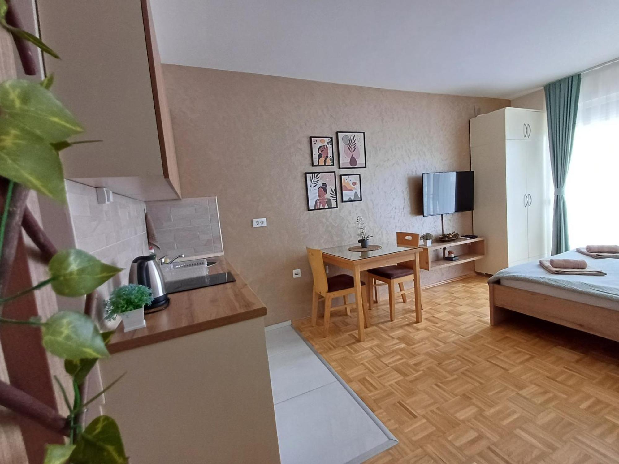 Jana Apartment Ohrid Extérieur photo